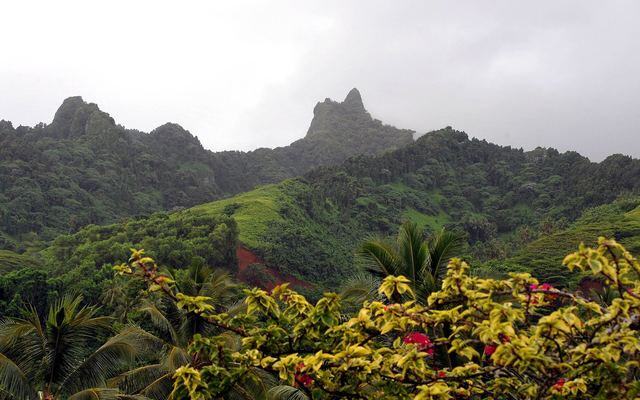 Groene, grillige bergtoppen in het binnenland van Rarotonga met bloeiende struiken op de voorgrond