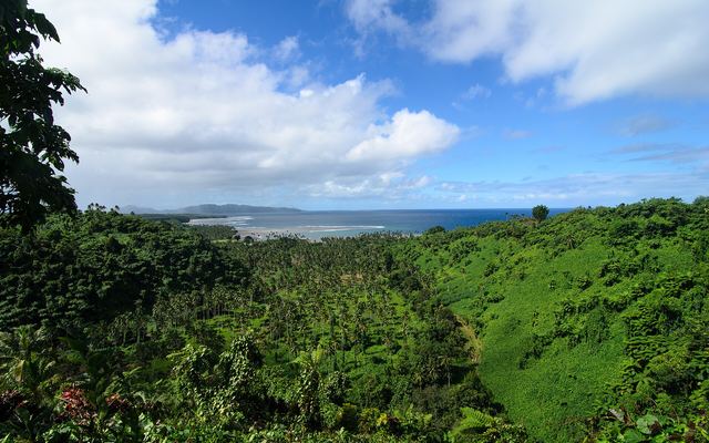 Uitzicht over dicht tropisch bos en kokospalmen richting de kust en zee in Fiji