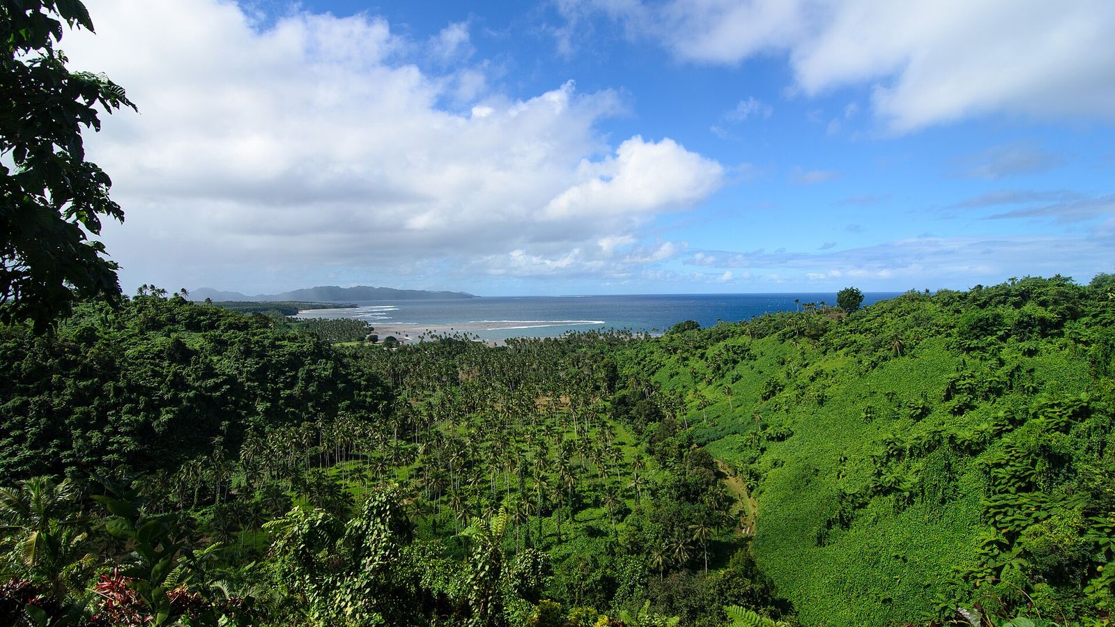 Uitzicht over dicht tropisch bos en kokospalmen richting de kust en zee in Fiji