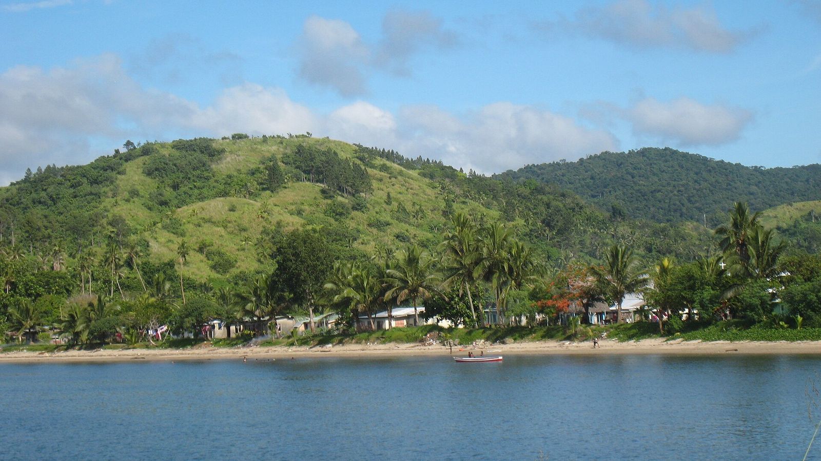 Huizen tussen palmbomen aan de waterkant in het dorp Navutulevu op Viti Levu