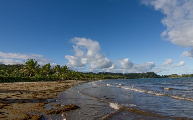 Rustig strand met palmen bij Navua aan de zuidkust van Viti Levu