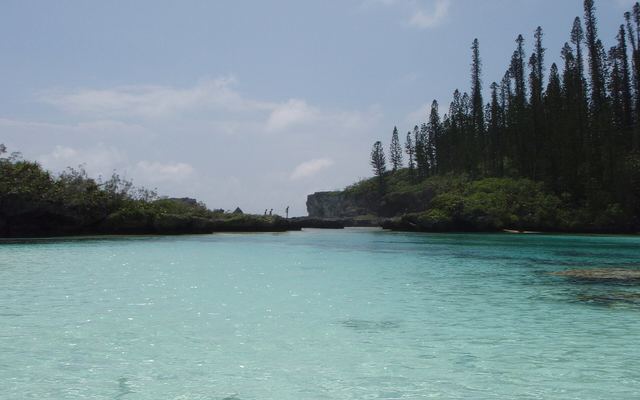 Turquoise natuurlijk zwembad van Oro op het Île des Pins in Nieuw-Caledonië, omzoomd door araucaria's