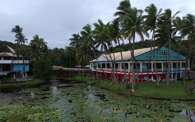 Gebouwen tussen hoge palmen aan een lelievijver in Pacific Harbour
