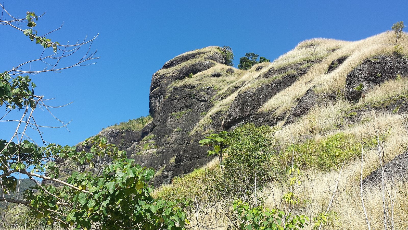 Rotswand met gras en struiken op de flank van Mount Batilamu in Koroyanitu National Heritage Park