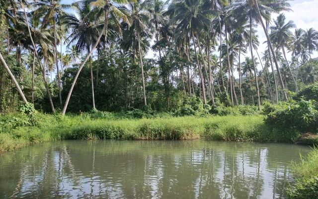 Hete modderpoel bij Savusavu